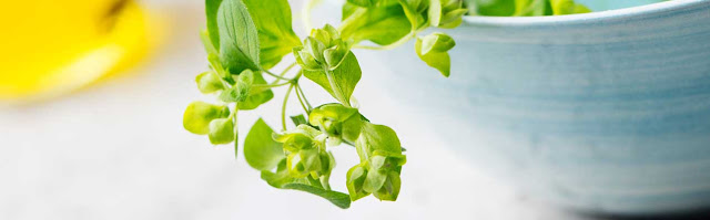  Natural Remedies for Fair skin